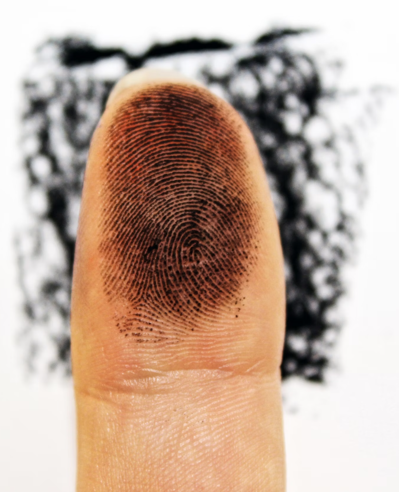 Fingerprint